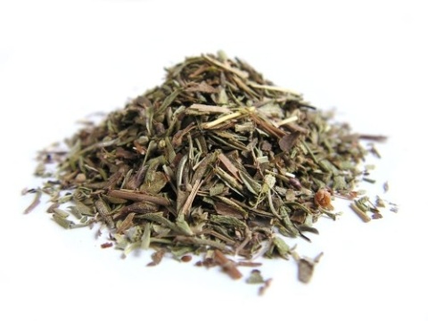 Cząber górski