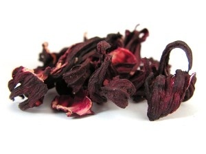 Hibiskus kwiat